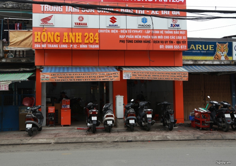 Hồng Anh 284