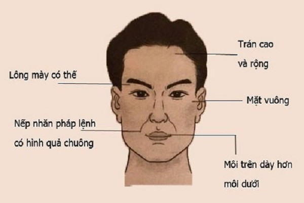 Xem tướng dự đoán người có tài lãnh đạo