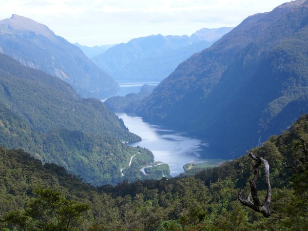 Vườn quốc gia Fiordland