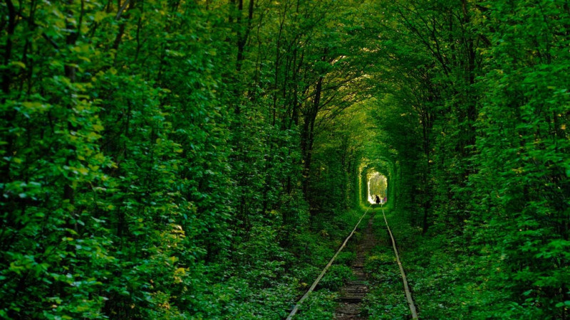 Đường hầm tình yêu “Tunnel of love” (Ukraine)