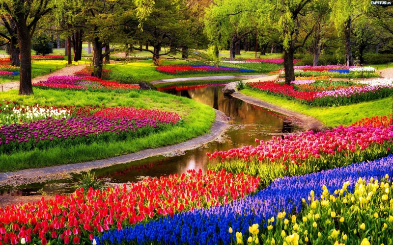 Vườn hoa Keukenhof, Hà Lan