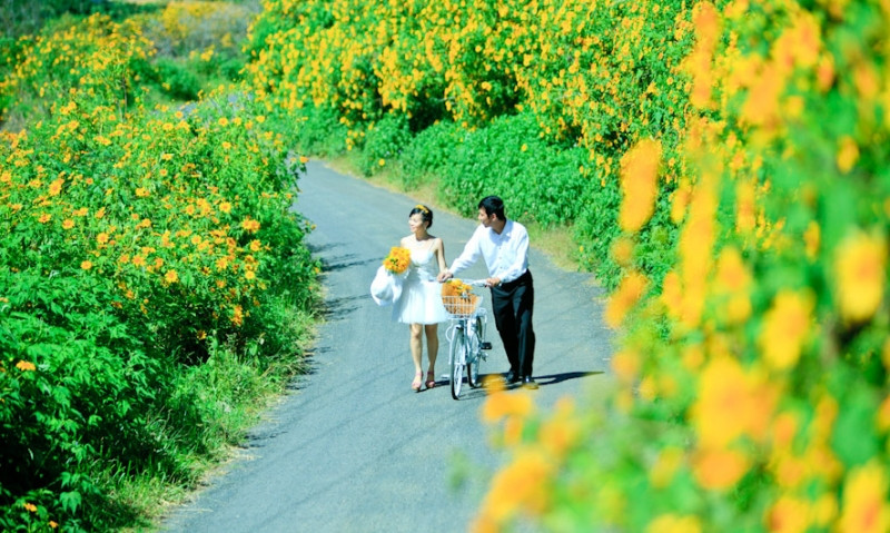 Cùng nhau đi trên cung đường đầy hoa dã quỳ trong bộ ảnh cưới thật nên thơ