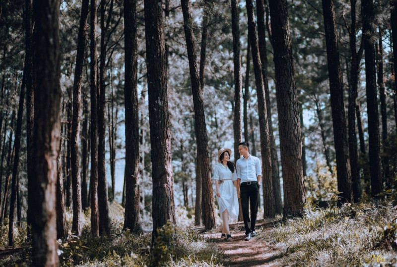 Chụp ảnh cưới tại rừng thông Đà Nẵng