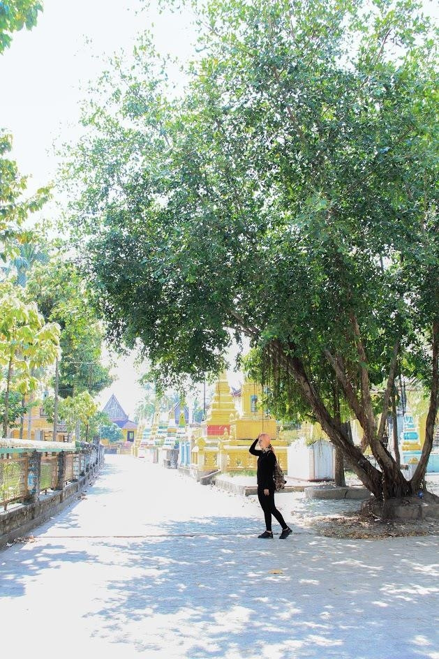 Lối nhỏ bên trong chùa với nhiều bóng cây thích hợp cho việc đi dạo và chụp hình