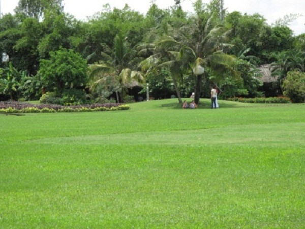 Bãi cỏ xanh rì ở khu du lịch Văn Thánh