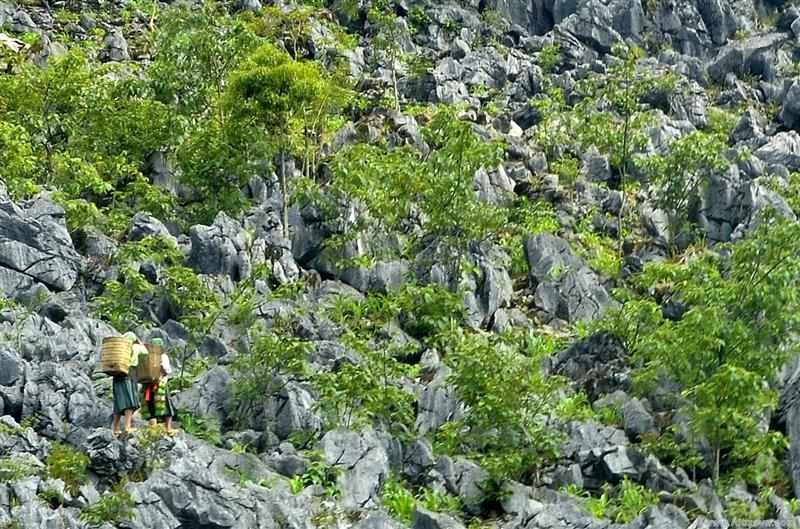 Cao Nguyên đá Đồng Văn là công viên địa chất toàn cầu được UNESCO công nhận đầu tiên của Việt Nam