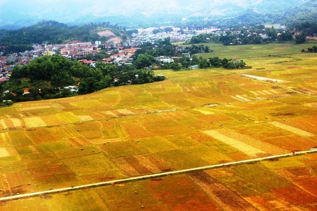 Cánh đồng Mường Lò