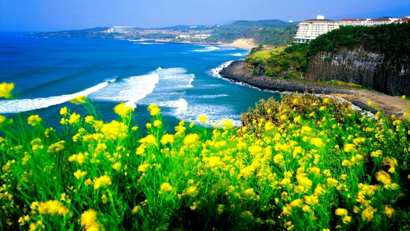Jeju - Đảo ngọc xanh của phương Đông