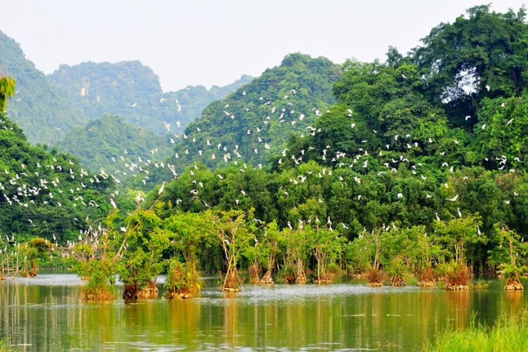 Khu du lịch sinh thái vườn chim thung Nham