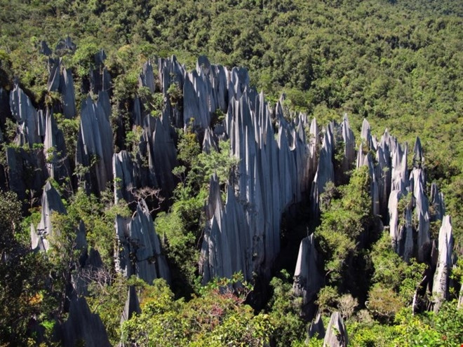 Vườn quốc gia Gunung Mulu với hệ thống hang động đá vôi lớn nhất thế giới