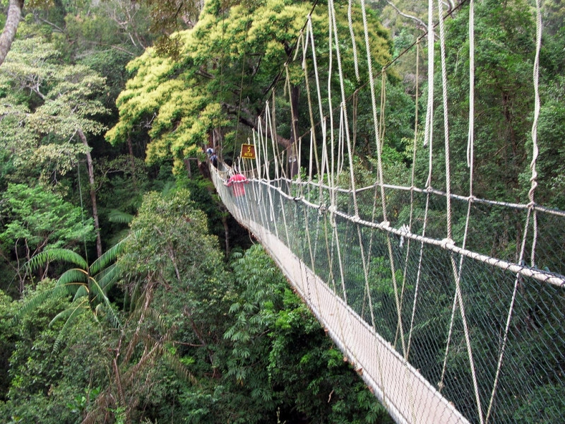 Thăm vườn quốc gia Taman Negara bằng đường dây treoi