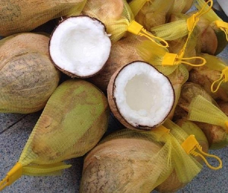 Dừa sáp, đặc sản Trà Vinh