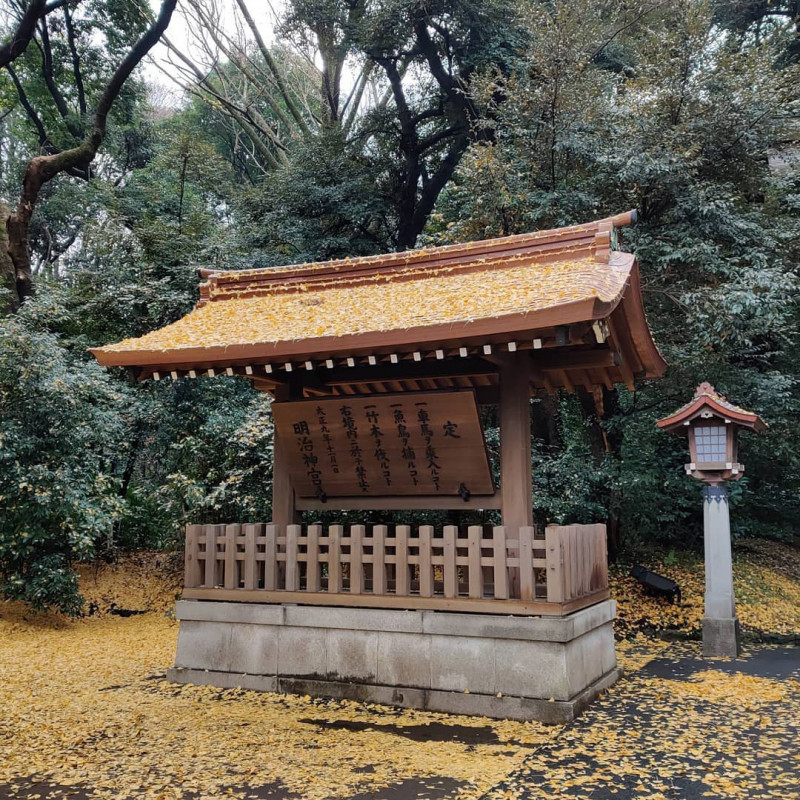 ﻿﻿Đền Meiji-Jingu