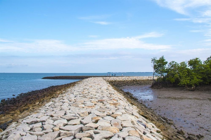 Con đường đá trải dài ven biển