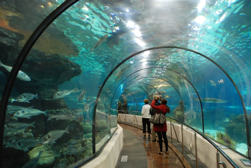Vinpearl Aquarium Times City - thủy cung hiện đại nhất được xây dựng theo kiến trúc Singapore