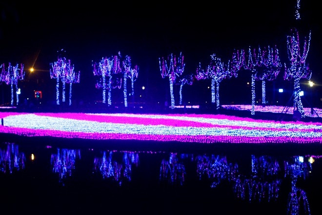 Công viên ánh sáng Tân Phú lung linh sắc màu
