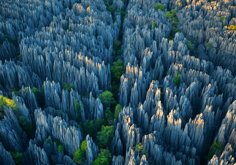 Rừng núi đá Madagascar