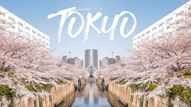 Tokyo - Nhật Bản