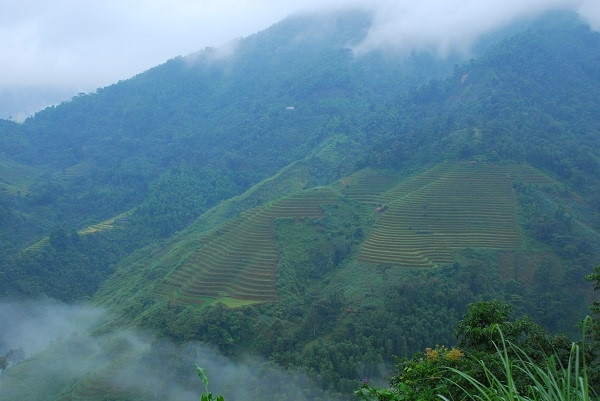 Và dù đến Hà Giang vào bất cứ mùa nào trong năm, du khách cũng bị hấp dẫn bởi màu sắc của núi rừng