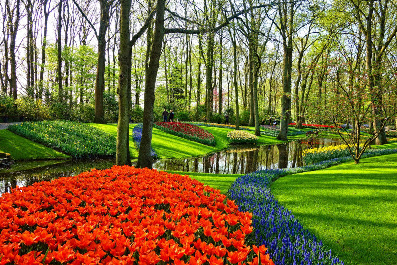 Vườn Keukenhof - Mùa xuân rực rỡ với những bông hoa tuy líp đủ màu sắc