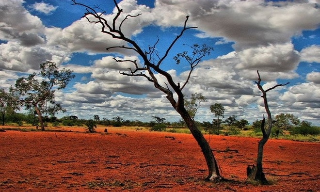 Nắng nóng khủng khiếp ở Australia