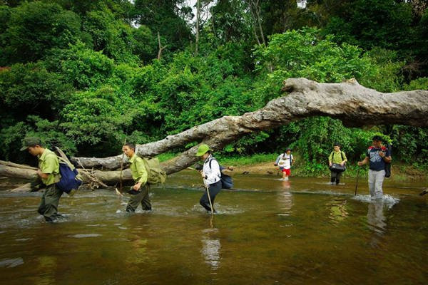 Khu bảo tồn thiên nhiên Kon Chư Răng hấp dẫn du khách