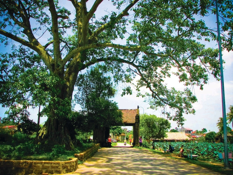Cổng làng Mông Phụ dẫn vào làng cổ Đường Lâm - hình ảnh cổng làng đặc trưng của làng quê Việt