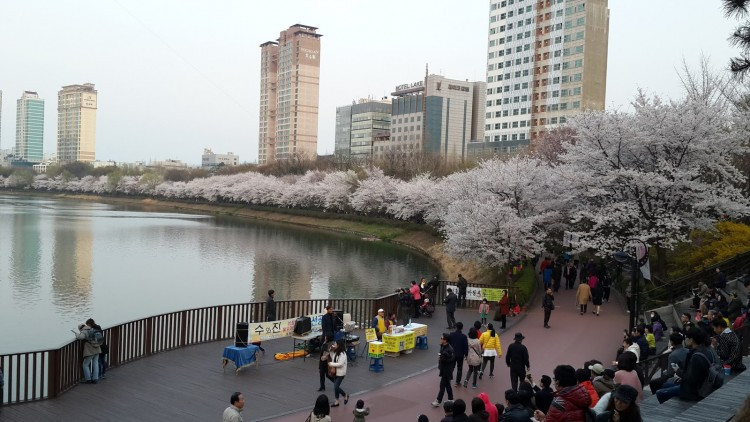 Hồ Seokchon