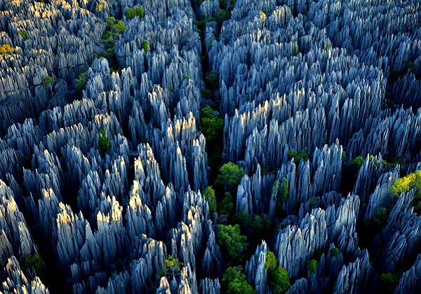 Rừng đá ở Vân Nam, Trung Quốc