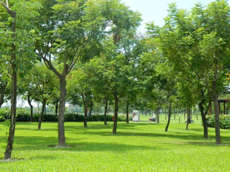 không gian công viên Yên Sở