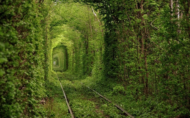 Tunnel of Love - Kleven, Ukraine