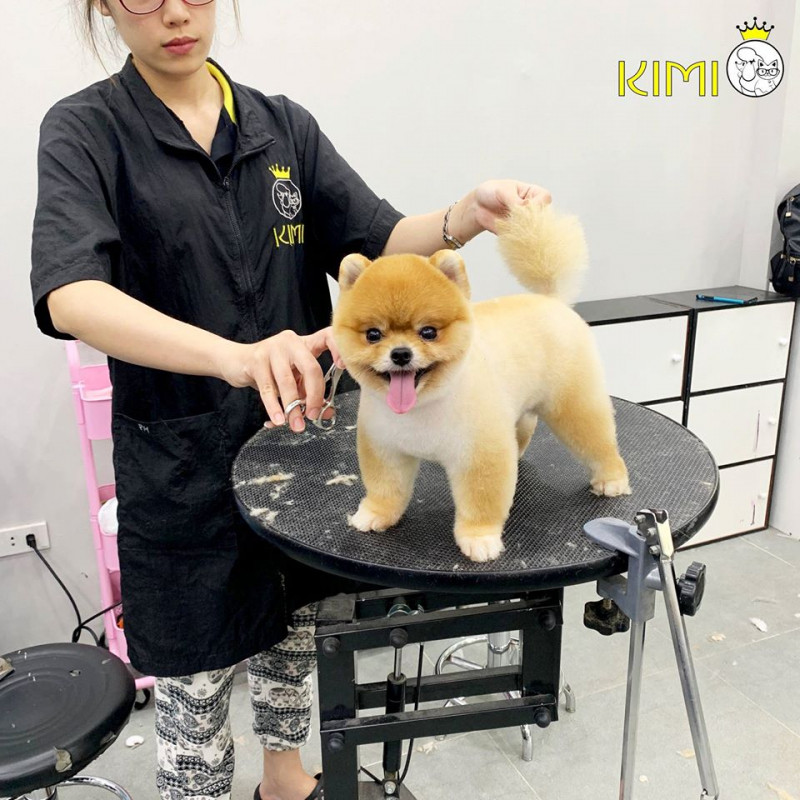 Kimi Pet - Thế Giới Thú Cưng