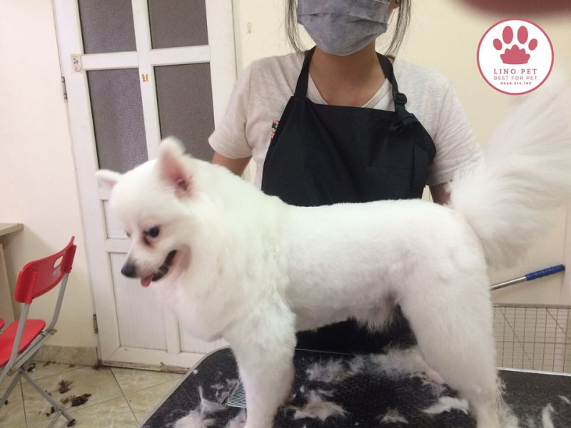 Lino Pet Salon