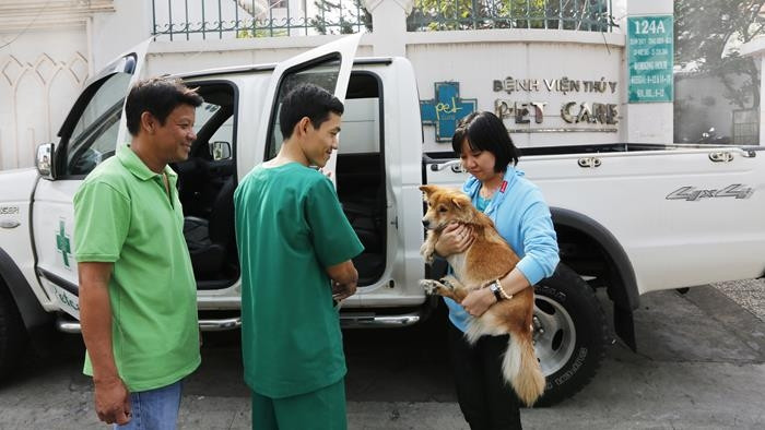 Thú cưng được chăm sóc tại Petcare An Việt