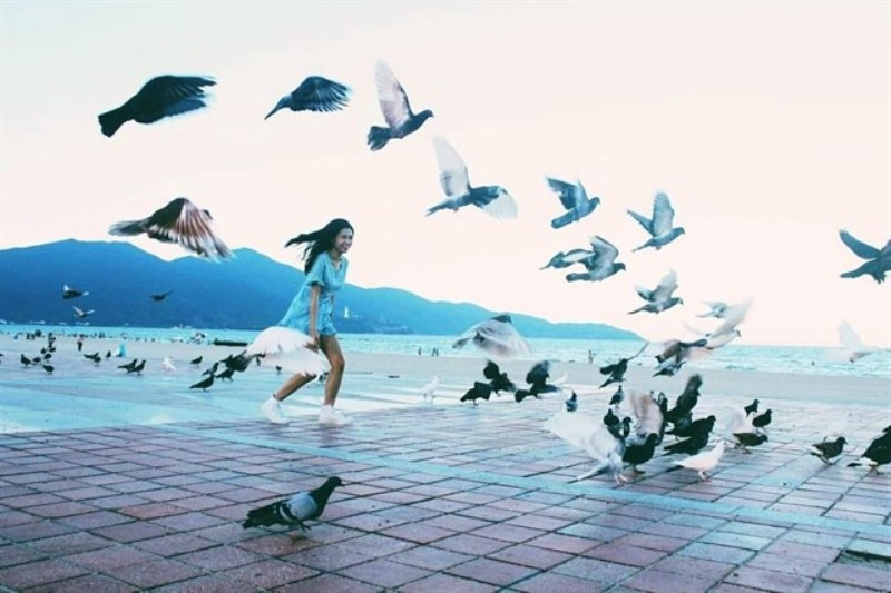 Với những chú chim bồ câu xinh xắn bạn có thể dễ dàng chụp cho mình được những bức ảnh cực lãng mạn.