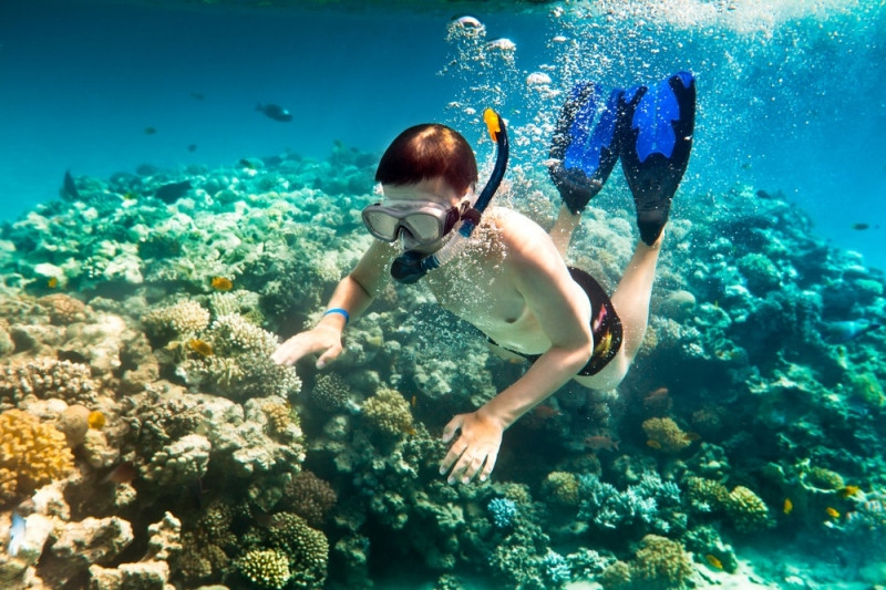 Lặng ngắm san hô ở Côn Đảo