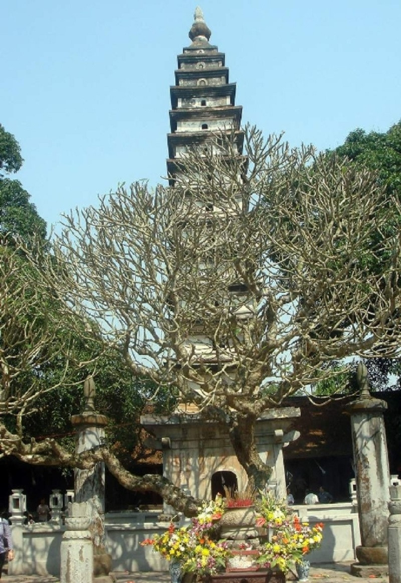 Tháp Phổ Minh mang nét cổ kính độc đáo