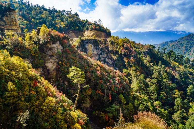 Đến Bhutan, du khách được chìm đắm trong khung cảnh xanh mát.
