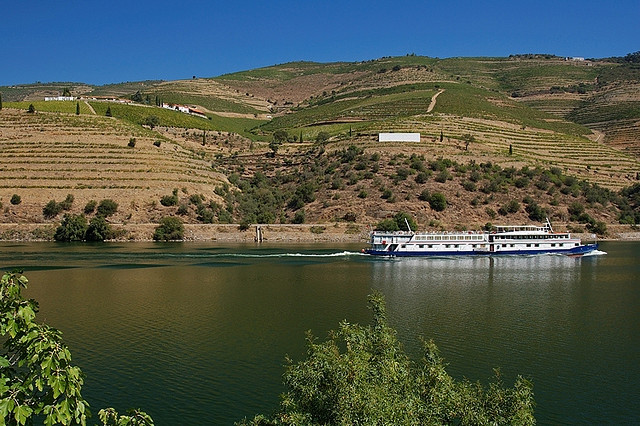 Du thuyền trên sông sông Douro