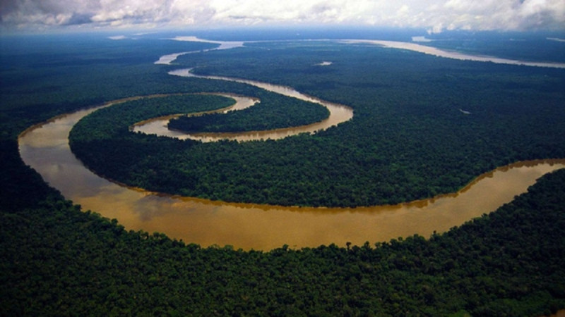 Con sông hùng vĩ chảy qua rừng rậm Amazon