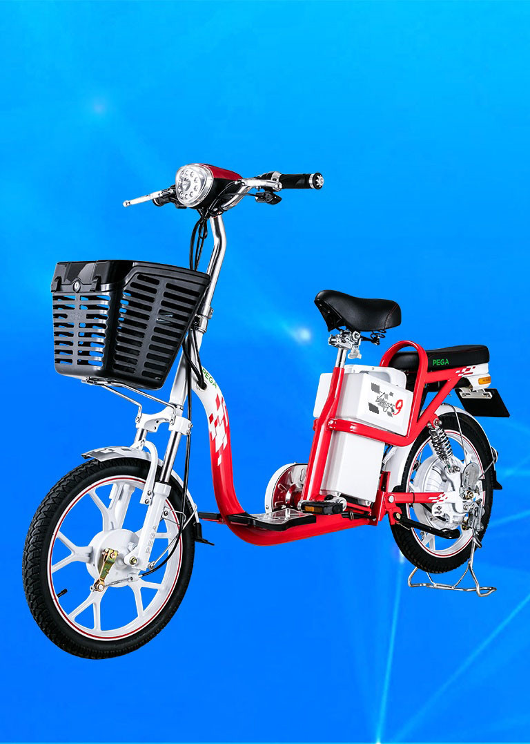 Xe đạp điện Pega Zinger 9
