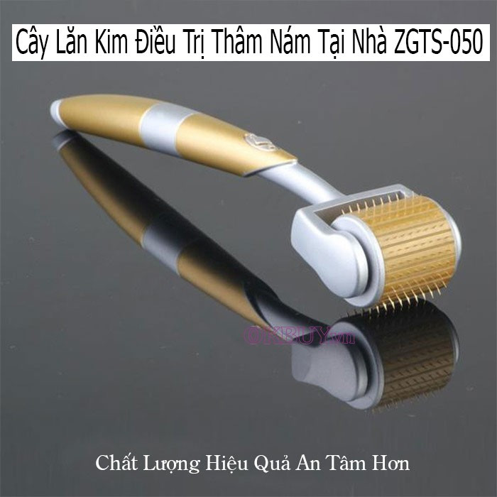 Cây lăn kim điều trị thâm nám tại nhà ZGTS-050