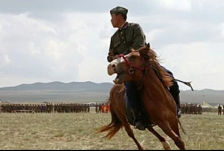 Ngựa Mông Cổ - Thiên Lý Mã