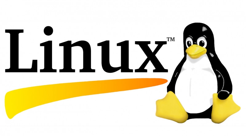Dù ít được sử dụng nhưng Linux vẫn là một trong những hệ điều hành phổ biến nhất hiện nay