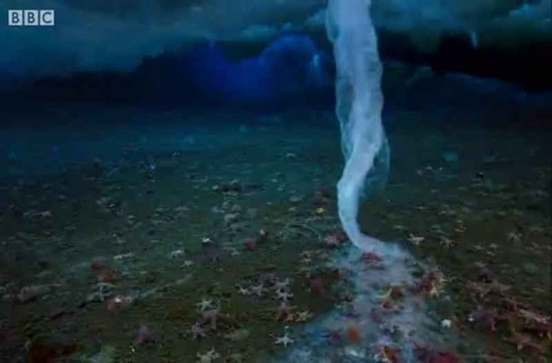 Xoáy nước băng cũng là một hiện tượng khá nguy hiểm, nó khiến nhiều sao biển bị chết do nồng độ muối của nó khá cao.