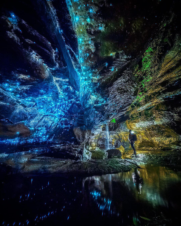 Hang động Waitomo Glowworm - Bầu trời sao huyền ảo dưới lòng đất