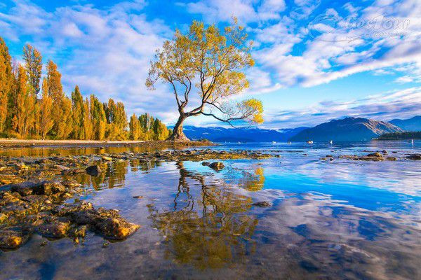 Hồ Wanaka, New Zealand