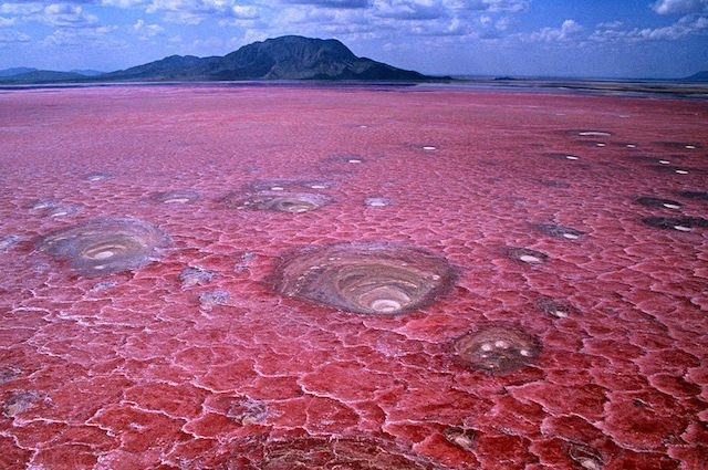 Hồ Natron, Tanzania