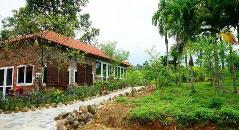 Đường vào khu homestay