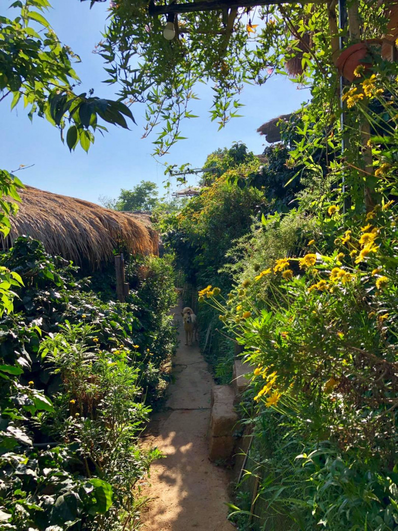 Cú Trên Cây Homestay